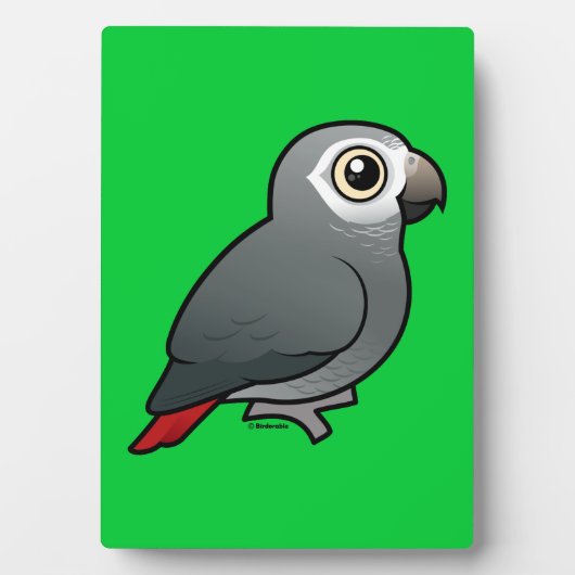 Timneh African Gray Parrot Fotoplaat (voorkant)