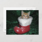 Timon Postcard Briefkaart (Voorkant / Achterkant)