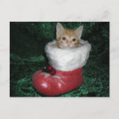 Timon Postcard Briefkaart (Voorkant)