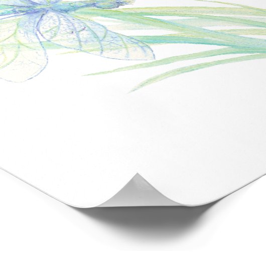 Timothy waterverf Dragonfly-scripts Poster (Hoek)