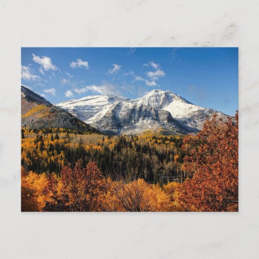 Timpanogos in de herfst van het Utah-gebergte Briefkaart (Voorkant)