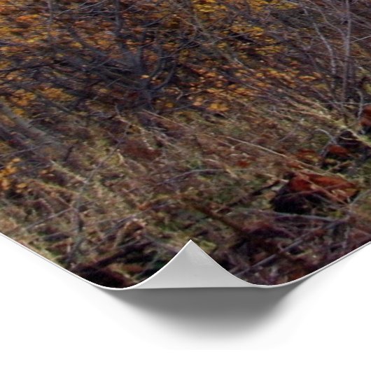 Timpanogos, Utah Poster (Hoek)