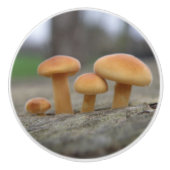 Timy Toadstools Macro Ceramic Knob. Keramische Knop (Voorkant)