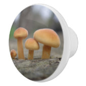 Timy Toadstools Macro Ceramic Knob. Keramische Knop (Rechts)