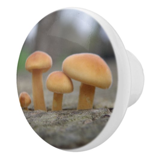 Timy Toadstools Macro Ceramic Knob. Keramische Knop (Rechts)