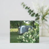 Tin Can Trailer Briefkaart van walvisstaart en wat (Staand voorkant)