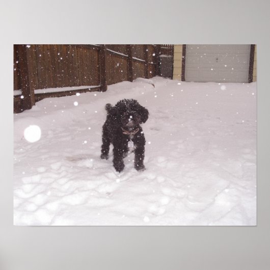 Tina Poster (Voorkant)