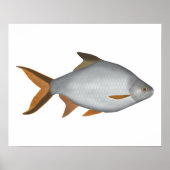 Tinfoil Barb Poster (Voorkant)