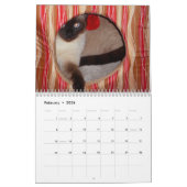 Ting van de Siamese kat Kalender (Feb 2026)