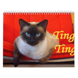 Ting van de Siamese kat Kalender