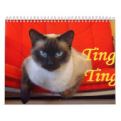 Ting van de Siamese kat Kalender (Hoes)