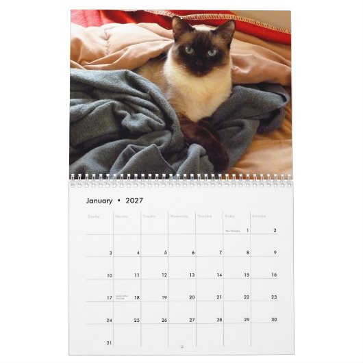 Ting van de Siamese kat Kalender (Jan 2027)