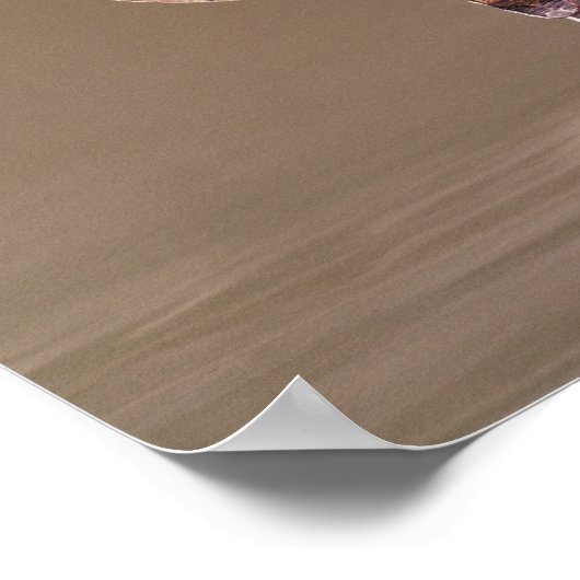 Tinglit Bird Clan totem poel Poster (Hoek)