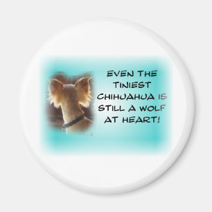 Tiniest Chihuahua... Magneet