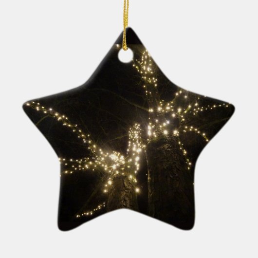 Tinkelende Buiten Boom Lichtjes Ster Ornament (Voorkant)