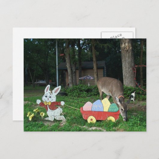 TINKERBELL #6 BRIEFKAART HELPT DE PAASKONIJN (Voorkant / Achterkant)