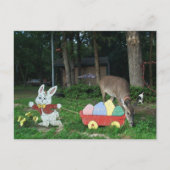 TINKERBELL #6 BRIEFKAART HELPT DE PAASKONIJN (Voorkant)