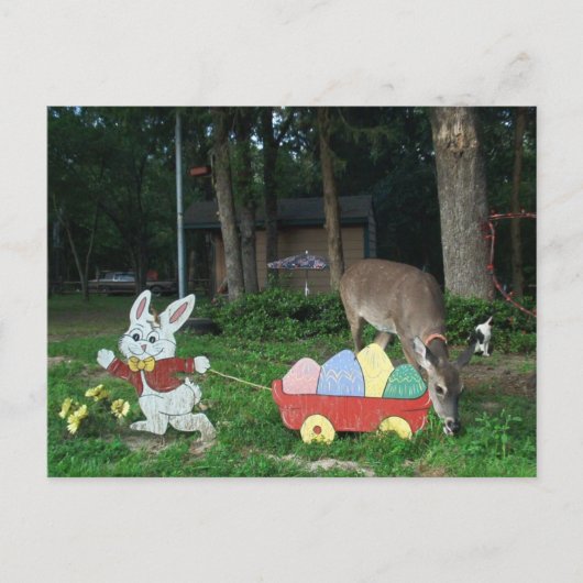 TINKERBELL #6 BRIEFKAART HELPT DE PAASKONIJN (Voorkant)