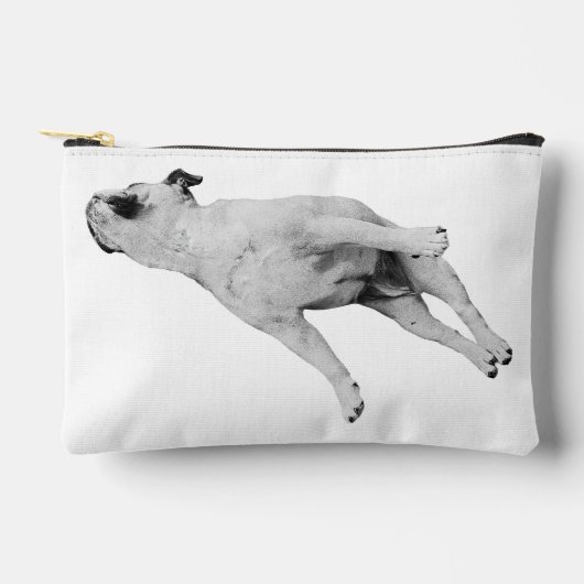 Tinsel-Quiet Organizer Etui (Voorkant)