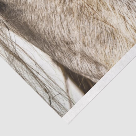 tint-barnsteentissuepapier tissuepapier (Detail)