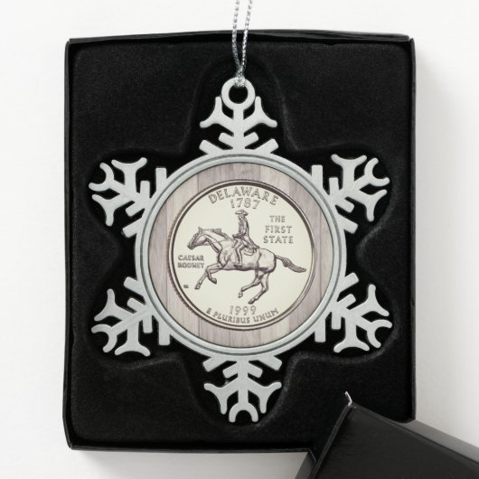Tinted Delaware State Quarter Tin Sneeuwvlok Ornament (Kistje)