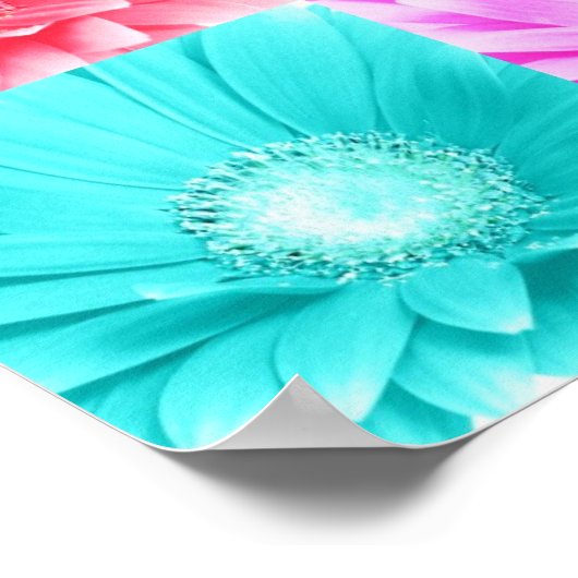 Tinted Gerbera Daisy Canvas Poster (Hoek)