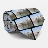 Tinted Lantern Slide Japan Nakajima Osaka Stropdas (Opgerold)