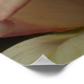 Tinted Rosebud Flower Poster (Hoek)