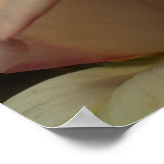 Tinted Rosebud Flower Poster (Hoek)