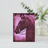Tinted Saddlebred Briefkaart (Staand voorkant)