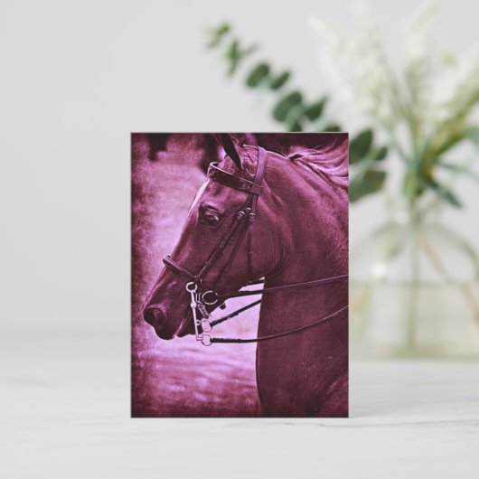 Tinted Saddlebred Briefkaart (Staand voorkant)