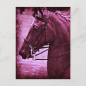 Tinted Saddlebred Briefkaart (Voorkant)