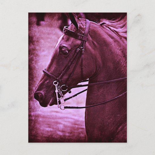 Tinted Saddlebred Briefkaart (Voorkant)