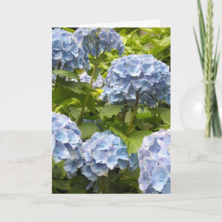 Tinten Blau Hortensia's Kaart