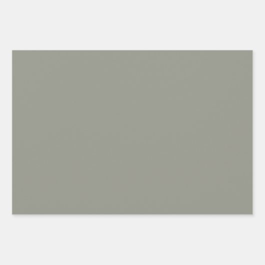 Tinten van Grijs Walnoot Bruin Eenvoudige Effen Kl Inpakpapier Vel (Voorkant 2)