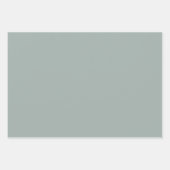 Tinten van Grijs Walnoot Bruin Eenvoudige Effen Kl Inpakpapier Vel (Voorkant)