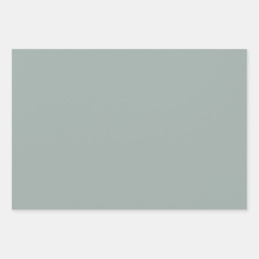 Tinten van Grijs Walnoot Bruin Eenvoudige Effen Kl Inpakpapier Vel (Voorkant)