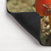 Tiny Amberina Cone Pet Mushroom Mousepad Muismat (Hoek)