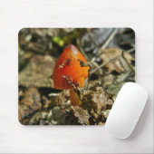 Tiny Amberina Cone Pet Mushroom Mousepad Muismat (Met muis)