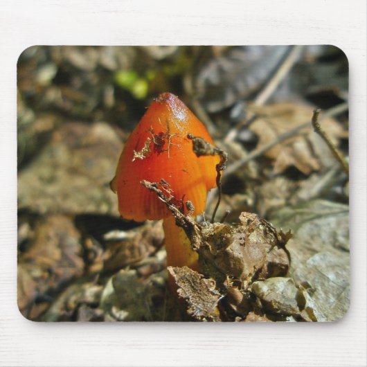 Tiny Amberina Cone Pet Mushroom Mousepad Muismat (Voorkant)