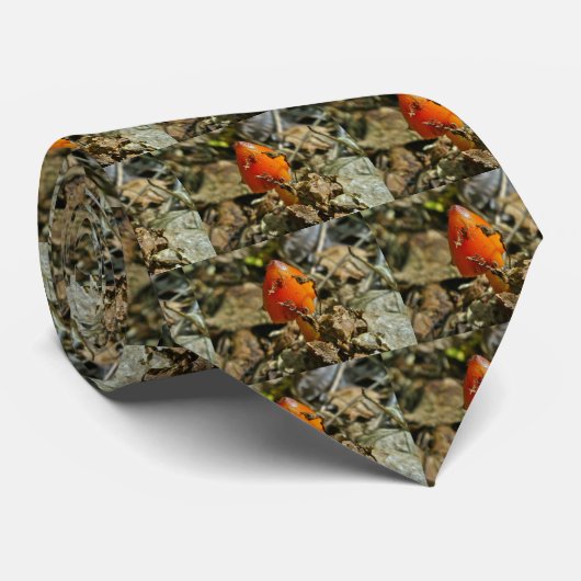 Tiny Amberina Cone Pet Mushroom Stropdas (Opgerold)