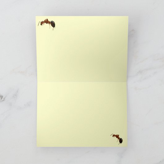 Tiny Ant op Goldenrod Bedankt (Binnen)