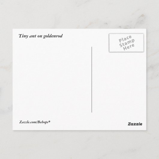 Tiny Ant op Goldenrod Briefkaart (Achterkant)