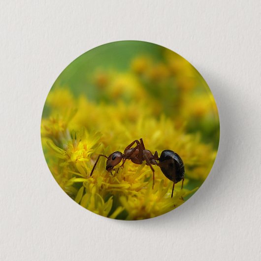 Tiny Ant op Goldenrod Ronde Button 5,7 Cm (Voorkant)