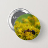 Tiny Ant op Goldenrod Ronde Button 5,7 Cm (Voorkant /achterkant)