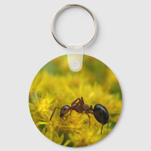 Tiny Ant op Goldenrod Sleutelhanger