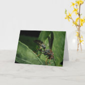 Tiny Aviator van de natuur Kaart (Gele Bloem)