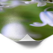 Tiny Bee On Bluebell Flower 10x8 Natuur Foto Afdruk (Hoek)