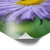 Tiny Bee On Paarse Aster Daisy Flower Natuur 8x10 Foto Afdruk (Hoek)