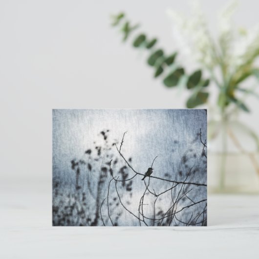 Tiny Bird Silhouette Postcard Briefkaart (Staand voorkant)